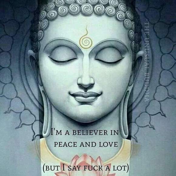 Meet your Posher, Donna - Picture 1 of 1